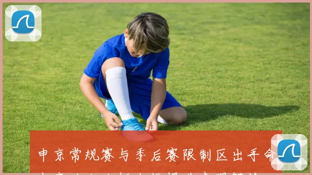 申京常规赛与季后赛限制区出手命中率对比分析小幅提升表现解读
