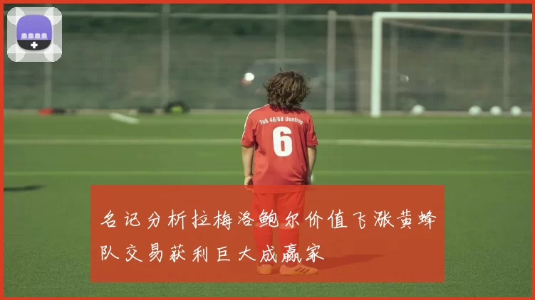 名记分析拉梅洛鲍尔价值飞涨黄蜂队交易获利巨大成赢家